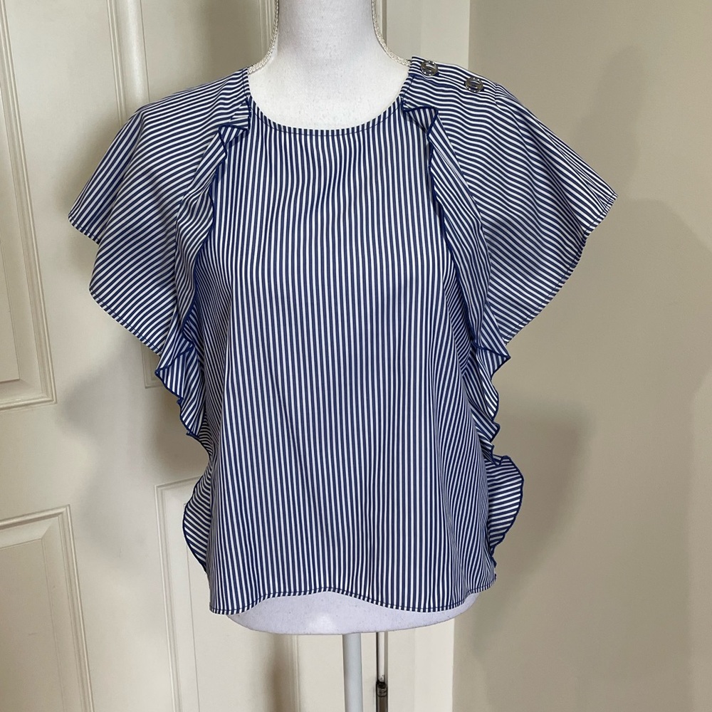 Zara Blue and White Striped Blouse